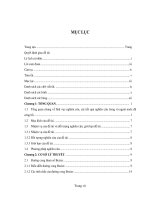 Nghiên cứu, thiết kế, chế tạo khớp mắt cá chân bằng cơ mềm cho người khuyết tật