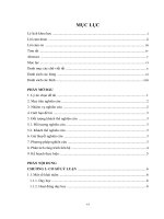 Dạy học theo hướng tích cực hóa người học cho môn tin học lớp 6 tại trường THCS chi lăng