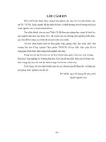 Dạy học tích hợp mô đun kỹ thuật trang trí món ăn và bàn tiệc tại trường đại học công nghiệp thực phẩm thành phố hồ chí minh