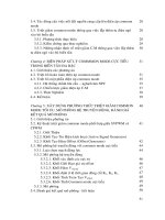 Điều khiển tốc độ động cơ không đồng bộ dùng biến tần đa bậc với common mode cực tiểu