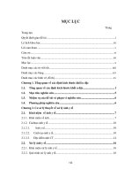 Dùng phương pháp wavelet tăng cường biên ảnh để xác định kích thước khối u đặc