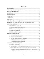 Phân tích quá trình ứng xử của tấm composite với bộ kích hoạt bằng tinh thể áp điện