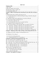 Ứng dụng cồn làm nhiên liệu cho động cơ xăng i xy lanh   UP 200