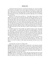 Nghiên cứu đề xuất giải pháp nâng cao trình độ và kỹ năng sư phạm nghề cho giáo viên trường trung học kỹ thuật và nghiệp vụ thủ đức