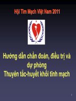 Khuyến cáo về chẩn đoán, điều trị và dự phòng thuyên tắc huyết khối tĩnh mạch của hội tim mạch học việt nam