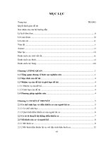 Mô hình điều khiển của người lái xe  luận văn thạc sĩ ngành kỹ thuật cơ khí động lực