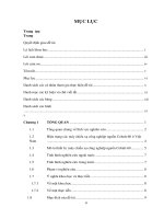 Thiết kế chế tạo các hệ công nghệ chính cho máy chiếu xạ công nghệ nguồn cobalt 60