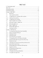 Nghiên cứu, phát triển thiết bị tự hành kiểm tra và đánh giá chất lượng đường ống ngầm sử dụng kỹ thuật siêu âm