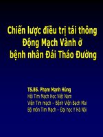 Chiến lược điều trị tái thông động mạch vành ở bệnh nhân đái tháo đường