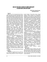 KHẢO sát TÌNH HÌNH VI KHUẨN gây NHIỄM KHUẨN HUYẾT tại BỆNH VIỆN đa KHOA KIÊN GIANG