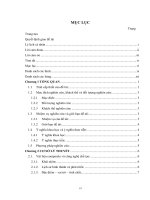 Nghiên cứu ảnh hưởng của các thông số công nghệ và phụ gia đến độ bền của vật liệu composite và polyme trong công nghệ ép phun