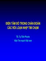 ĐIỆN tâm đồ TRONG CHẨN đoán các rối LOẠN NHỊP TIM CHẬM