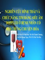 NGHIÊN cứu HÌNH THÁI và CHỨC NĂNG TIM BẰNG SIÊU âm DOPPLER ở BỆNH NHÂN có hội CHỨNG CHUYỂN hóa