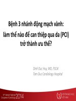 Bệnh 3 nhánh động mạch vành  làm thế nào để can thiệp qua da (PCI)