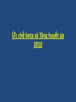 Ức chế beta và tăng huyết áp 2010