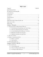 Điều khiển máy phát điện gió dùng DFIG  luận văn thạc sĩ ngành kỹ thuật điện