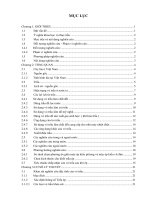 Nghiên cứu đề xuất công nghệ và phát triển thiết bị sản xuất trấu ép khối