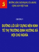 bài giảng chương 5 môn đảng cộng sản Việt Nam