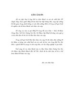 Nghiên cứu và mô phỏng thiết bị chống sét lan truyền trên mạng máy tính và đường dây điện thoại