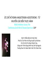 ỨC CHẾ hê RENIN ANGIOTENSIN ADOSTERONE từ KHUYẾN cáo đến THỰC HÀNH