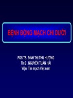 Bệnh động mạch chi dưới