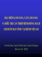 Khảo sát vai trò hướng dẫn của siêu âm nội mạch trong can thiệp tổn thương ĐMV qua da