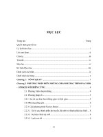 Mô phỏng dòng chảy lưu chất nhớt không nén được qua trụ tròn bằng phương pháp biên nhúng