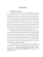 Pháp luật về biện pháp bảo đảm đầu tư và khuyến khích đầu tư trực tiếp nước ngoài tại CHDCND lào 