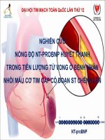 NGHIÊN cứu NỒNG độ NT PROBNP HUYẾT THANH TRONG TIÊN LƯỢNG tử VONG ở BỆNH NHÂN NHỒI máu cơ TIM cấp có đoạn ST CHÊNH lên