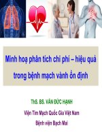 Minh hoạ phân tích chi phí hiệu quả trong bệnh mạch vành ổn định mạn tính