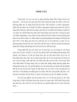 Điều khiển bị động dòng chảy qua trụ tròn bằng tấm phẳng sử dụng phương pháp biên nhúng