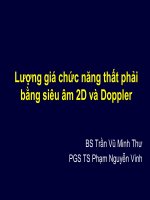 Lượng giá chức năng thất phải bằng siêu âm tim 2d và doppler