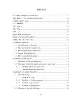 Phân tích ảnh hưởng và ứng xử tương tác đa trường trên vật liệu bất đẳng hướng FEM