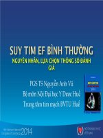 Cập nhật siêu âm tim trong suy tim chức năng thất trái bình thường nguyên nhân, lựa chọn thông số đánh giá