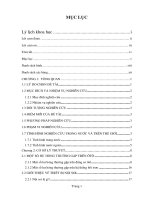 Thiết bị nội soi ôtô cầm tay ứng dụng công nghệ thu thập và xử lý ảnh