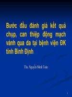 Bước đầu đánh giá kết quả chụp, can thiệp ĐMV qua da tại bệnh viện tỉnh bình định