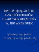 Đánh giá hiệu quả điều trị bằng thuốc chống đông kháng vitamin k ở bệnh nhân sau thay van tim cơ học