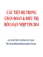 các tiến bộ trong chuẩn đoán và điều trị rối laojn nhịp tim 2014
