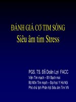 ĐÁNH GIÁ cơ TIM SỐNG siêu âm tim stress