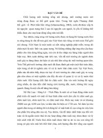 Xử lý nước thải chăn nuôi bằng cây rau dừa nước