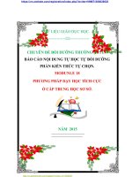 CHUYÊN ĐỀ BỒI DƯỠNG THƯỜNG XUYÊN BÁO CÁO NỘI DUNG TỰ HỌC TỰ BỒI DƯỠNG PHẦN KIẾN THỨC TỰ CHỌN. MODUNLE 18 PHƯƠNG PHÁP DẠY HỌC TÍCH CỰC  Ở CẤP TRUNG HỌC SƠ SỞ.