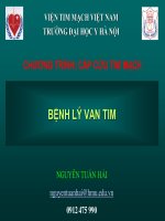 Bệnh lý van tim cấp cứu