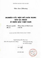 Nghiên cứu một số loài mang tên sa nhân ở miền bắc việt nam