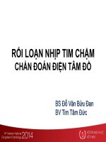RỐI LOẠN NHỊP TIM CHẬM CHẨN đoán điện tâm đồ