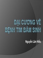 Đại cương về bệnh tim bẩm sinh