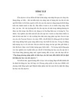 Ứng dụng phươg pháp phần tử hữu hạn cho bài toán điều khiển bất ổn định khí động lực học của cầu cáp treo