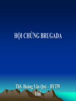 NGHIÊN CỨU HỘI CHỨNG BRUGADA