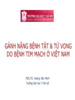 Gánh nặng của tử vong do tim mạch và các biến cố tim mạch chính ở vệt nam