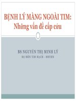 Những vấn đề cấp cứu bệnh lý màng ngoài tim