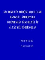 Xác định vỡ xơ động mạch cảnh bằng siêu âm doppler ở bệnh nhân THA và các yếu tố liên quan